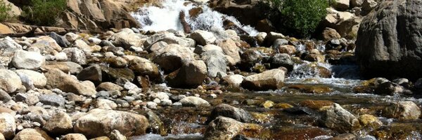 dfermanich Profile Banner