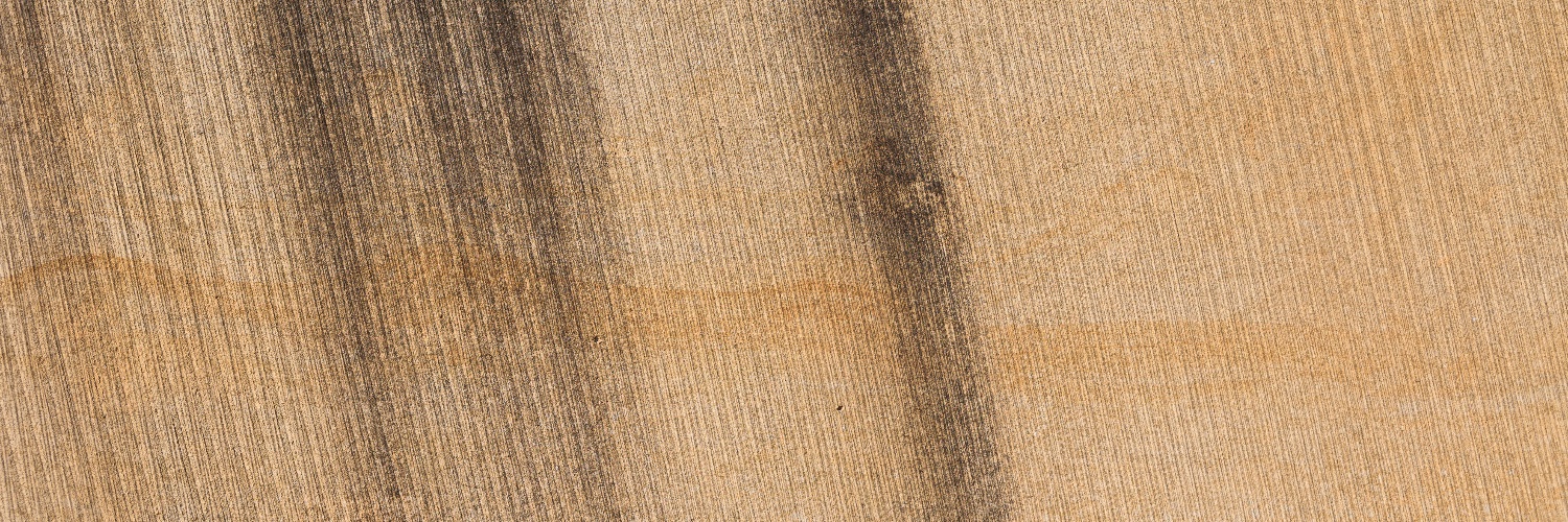 Davide Vega (archived) banner