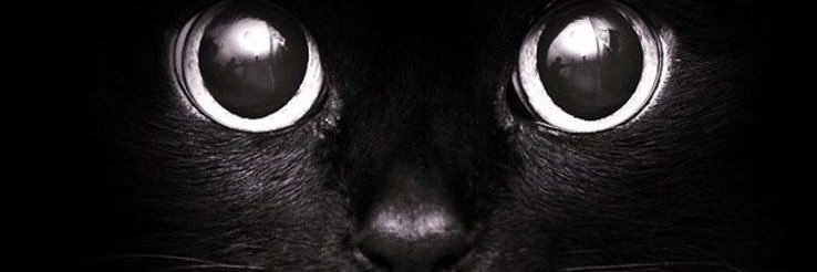 sadon_samad's profile banner image