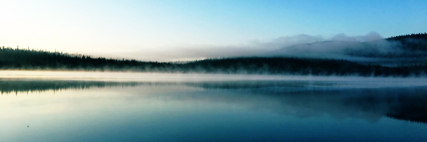 Danielle Molisee🌋 banner