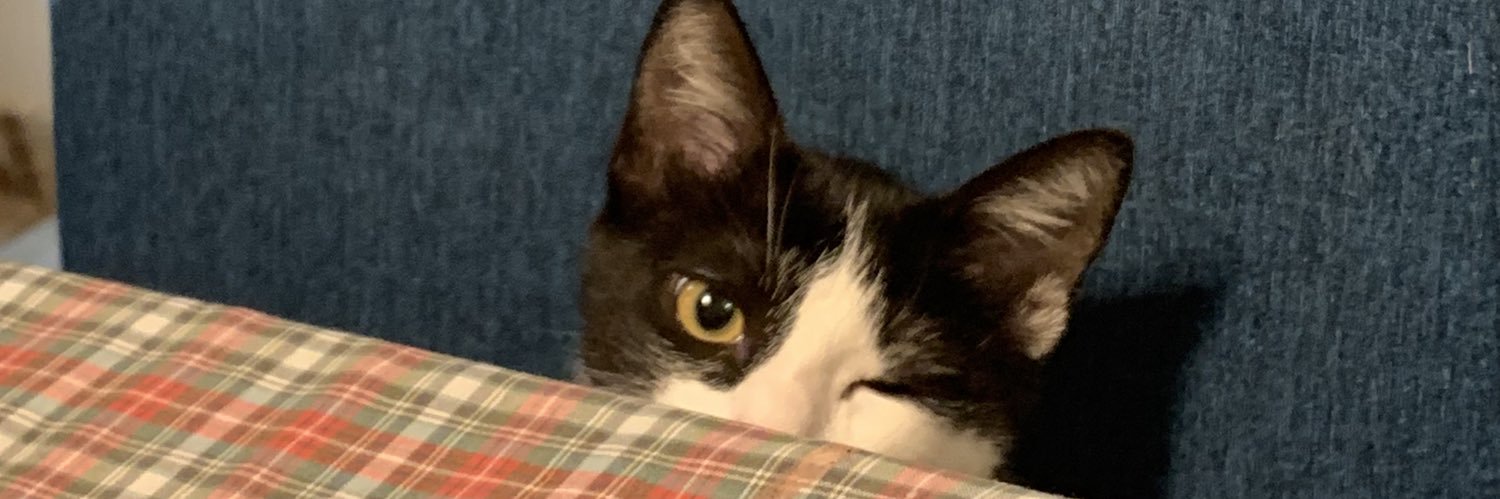 hcarpena__'s profile banner image