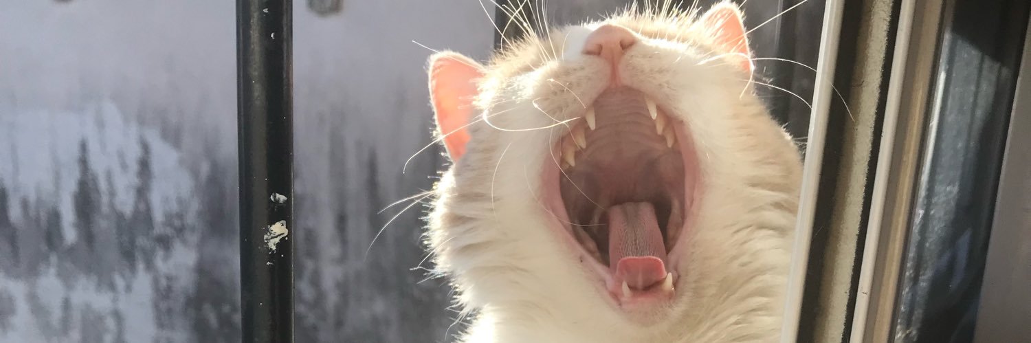 je banner