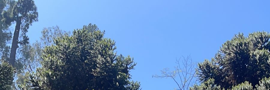 strackberry's profile banner image