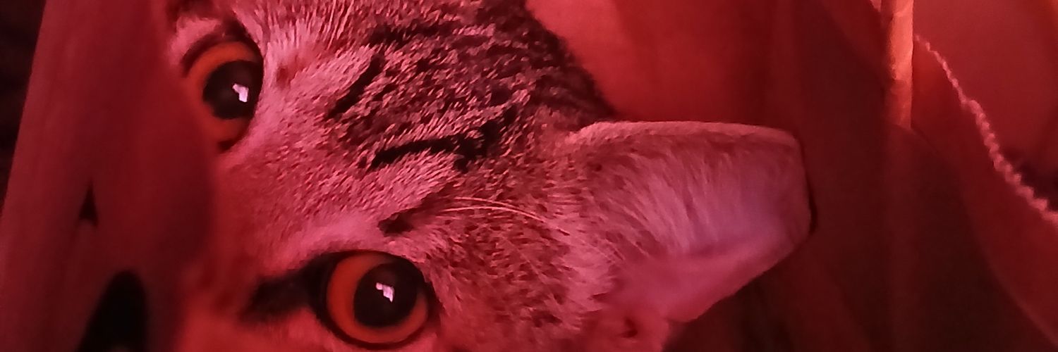 FioPoseOk's profile banner image
