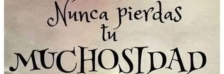 pormivida_'s profile banner image