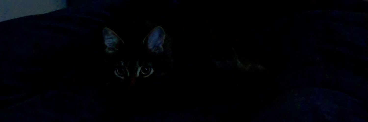 syd43y's profile banner image