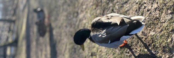 ThatSaltiee Profile Banner