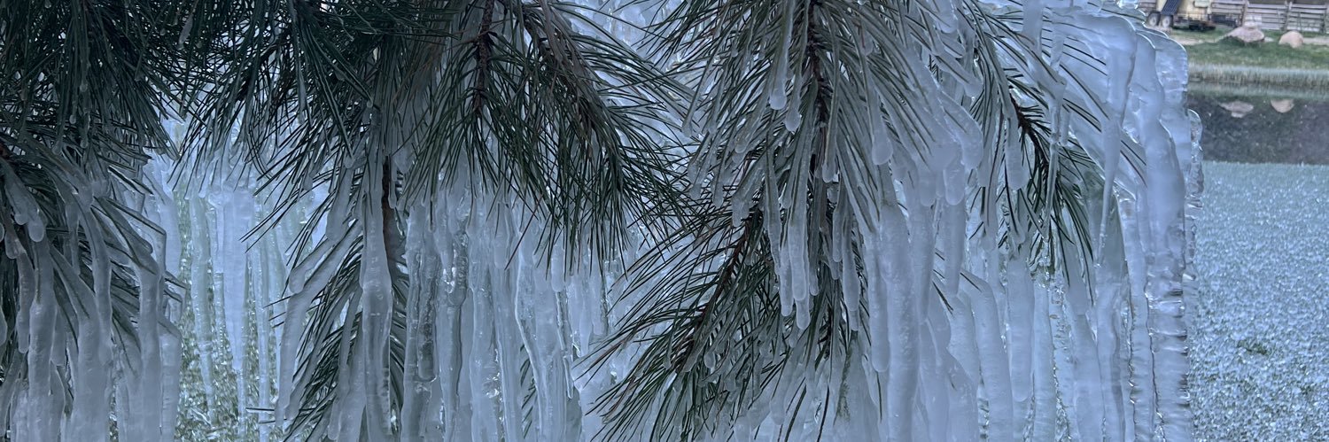 breenstock303's profile banner image