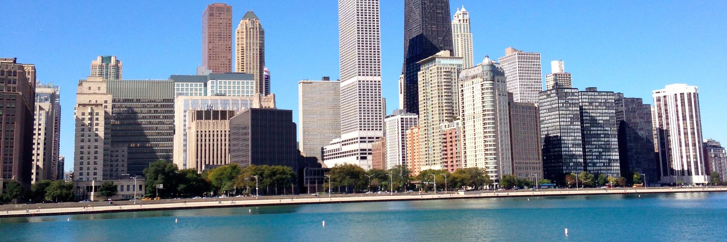 Michelle DeWitt banner