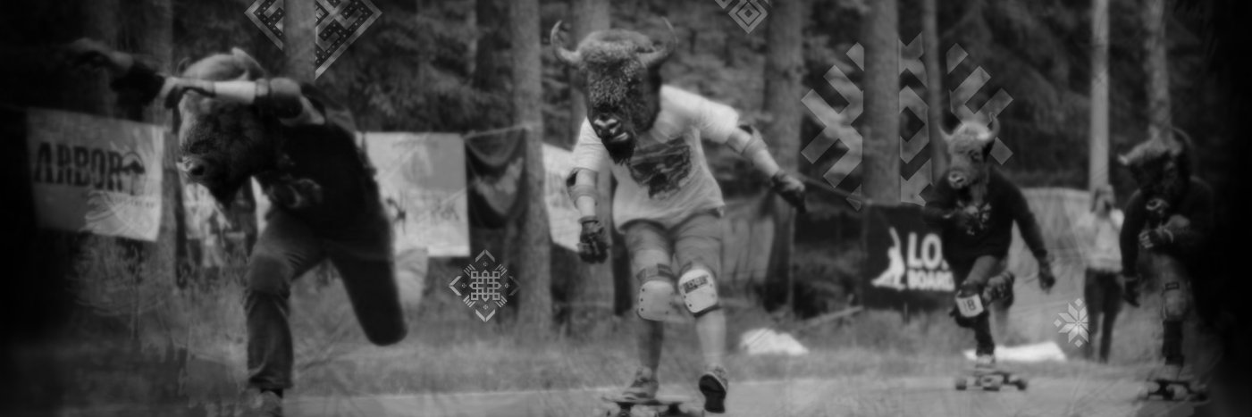 mr_jungalist's profile banner image