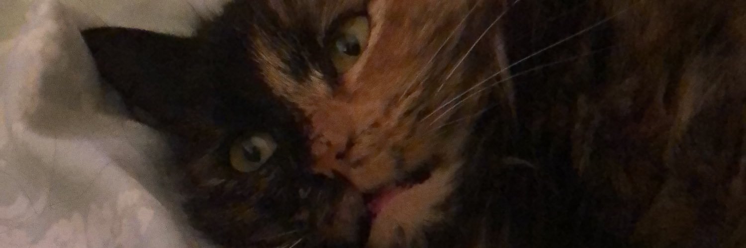 BekahHunt99's profile banner image