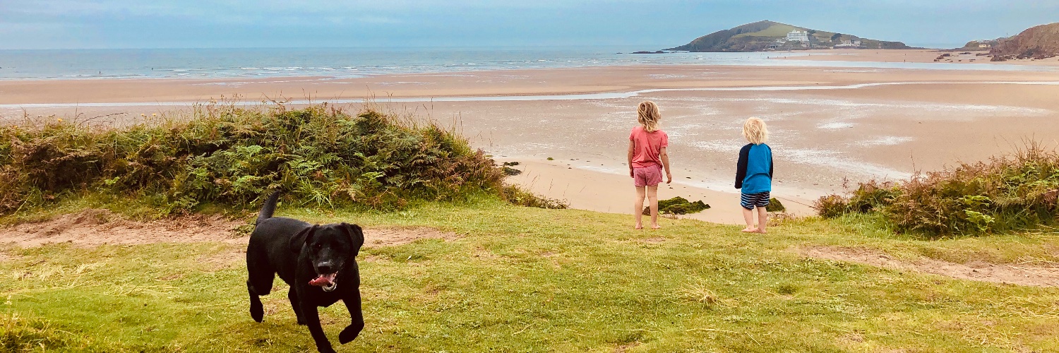 Dr Rory Honney banner