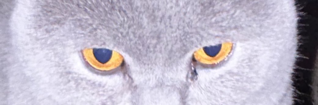 nikomy690's profile banner image