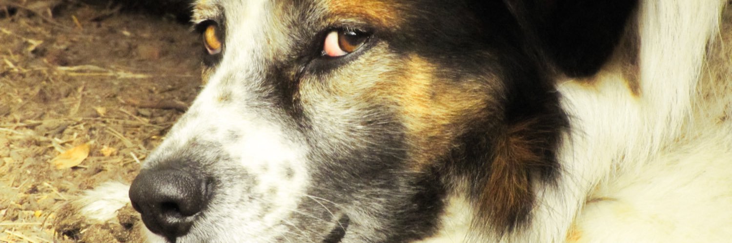 DannnLop's profile banner image