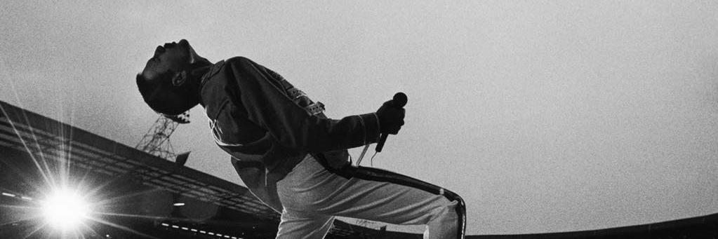 Lionv98's profile banner image