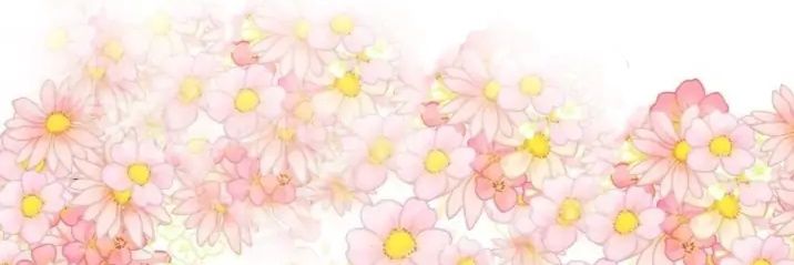 shan banner