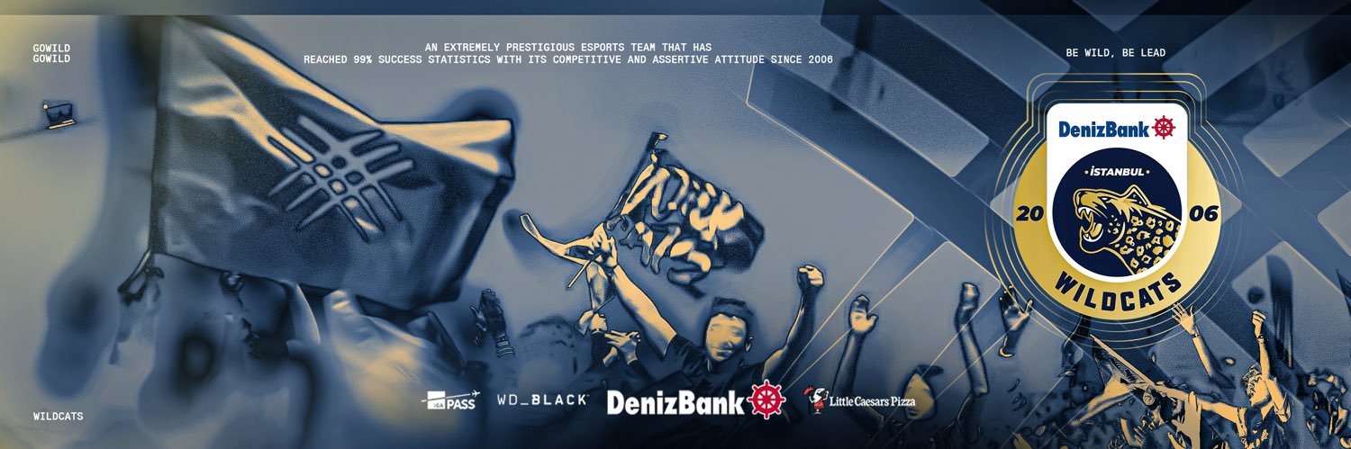 DenizBank İstanbul Wildcats banner