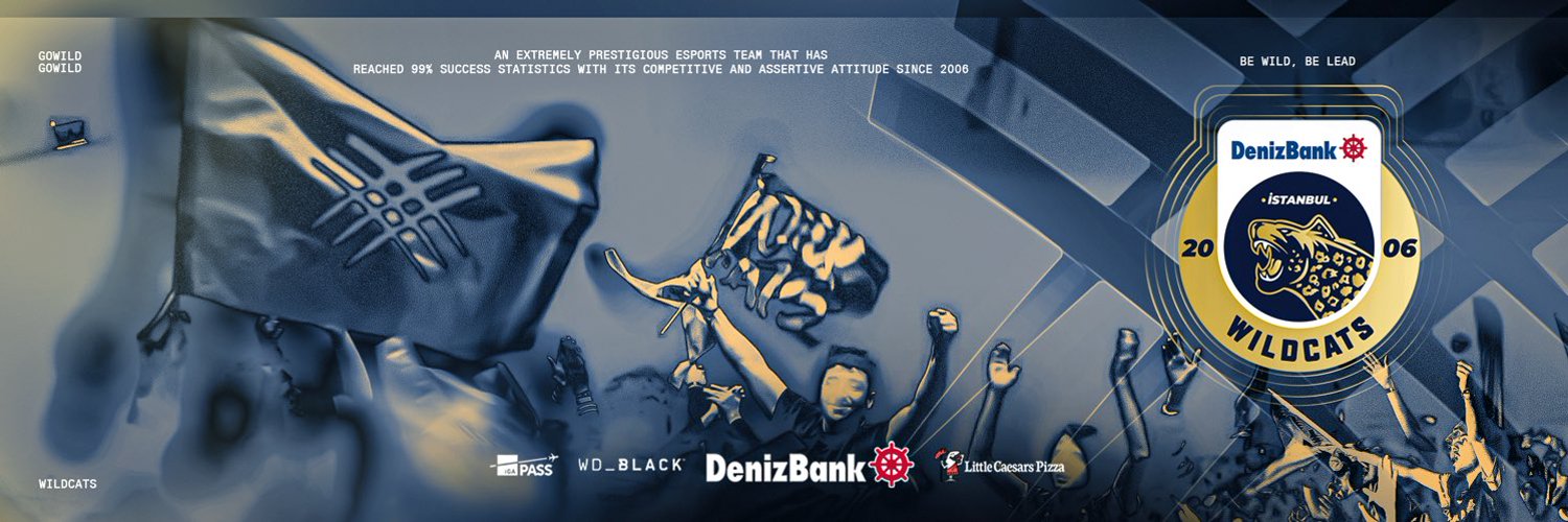 DenizBank İstanbul Wildcats Profile Banner