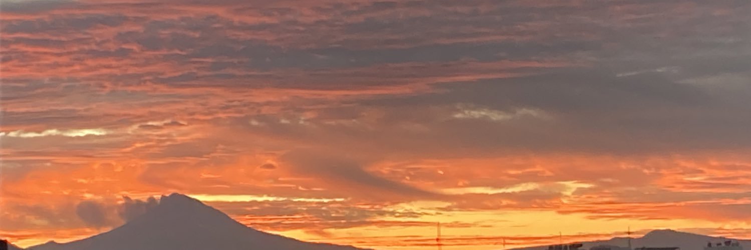 Chulito del que si pica banner