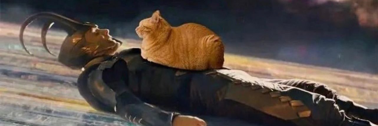 diabrett's profile banner image