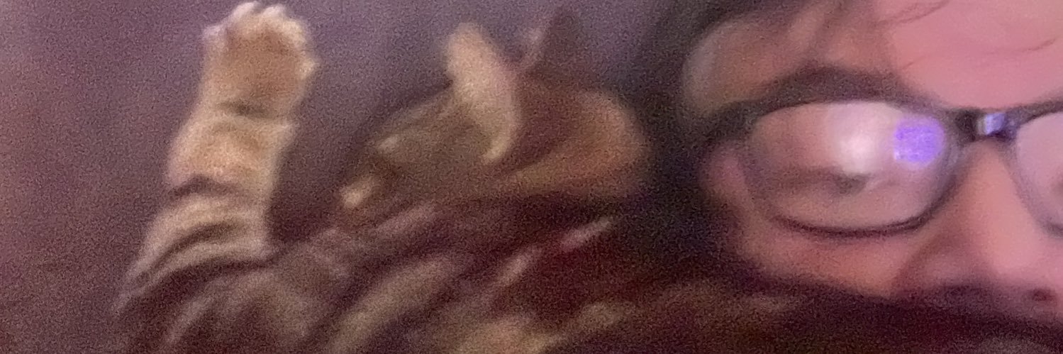 snugthorpe's profile banner image