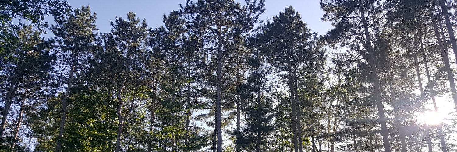 VFieldMacc's profile banner image
