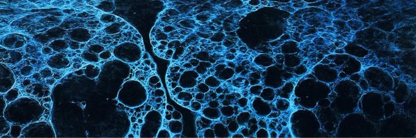 destriers_ Profile Banner