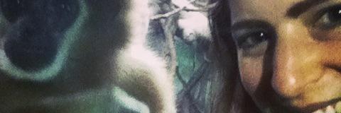 MIMondorf's profile banner image