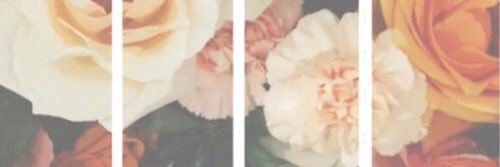 nudecth_'s profile banner image