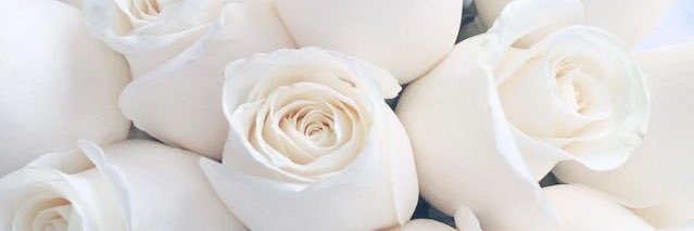 LeaGerma_'s profile banner image