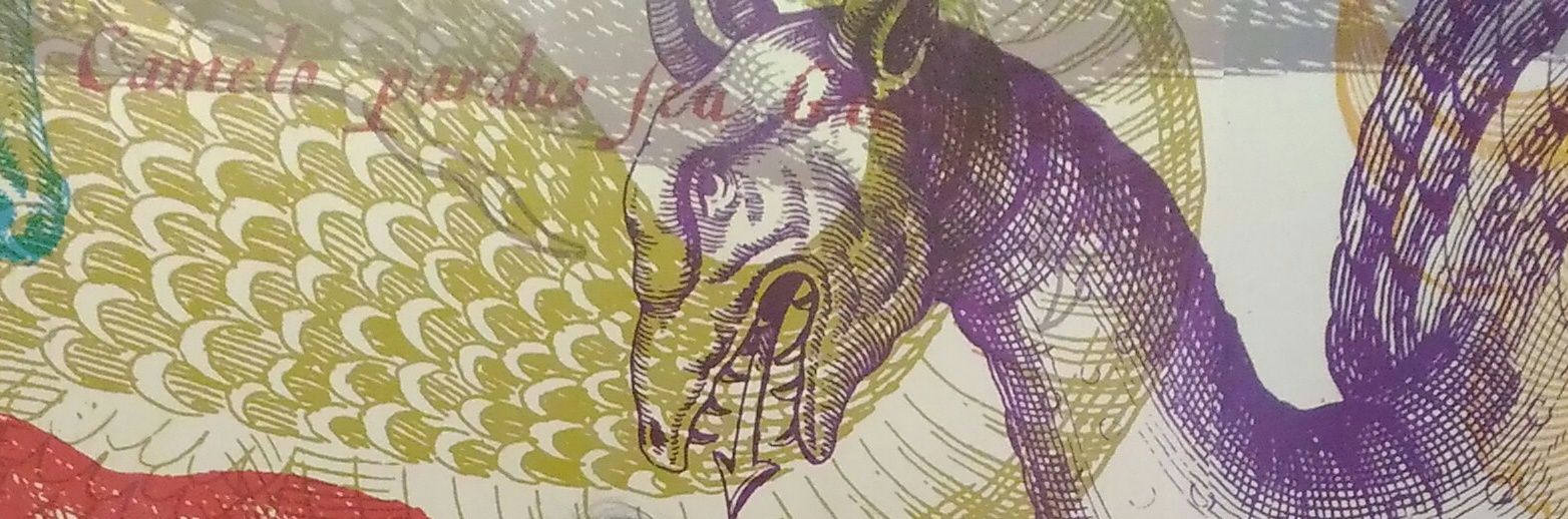 selenecabibbo's profile banner image