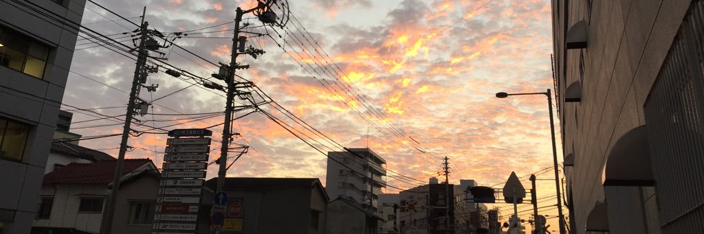 ha___ru00's profile banner image