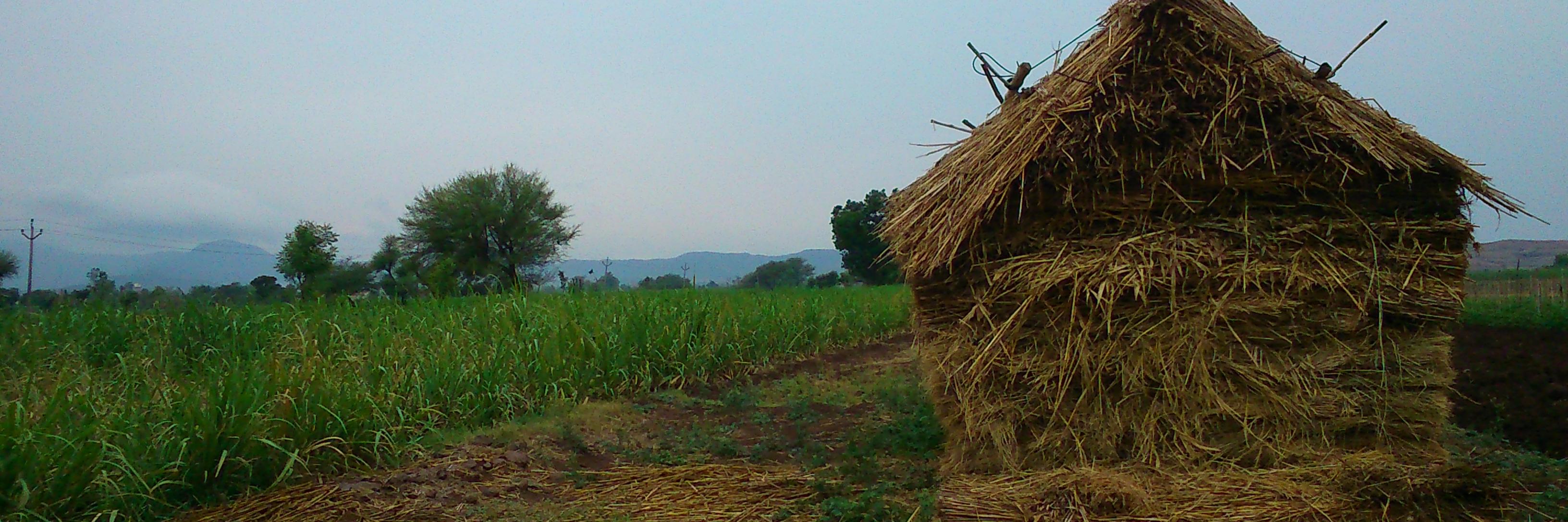 bhoushan's profile banner image