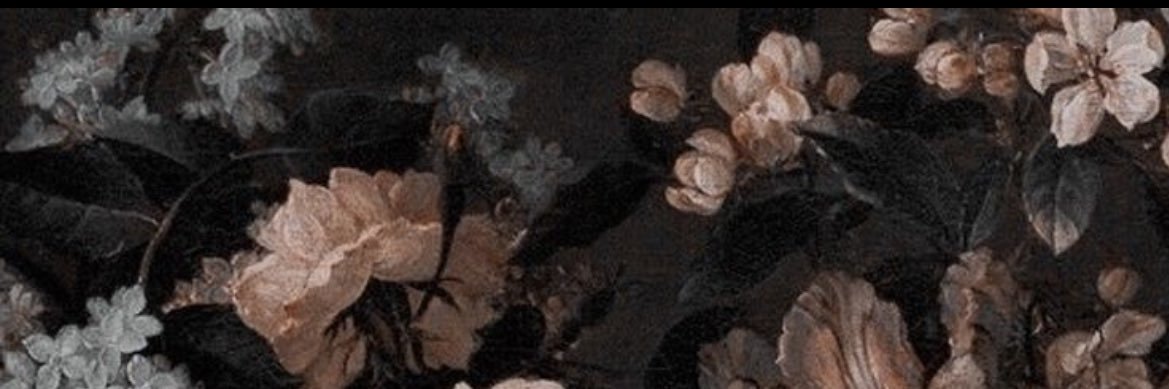 Selina 🤍 banner