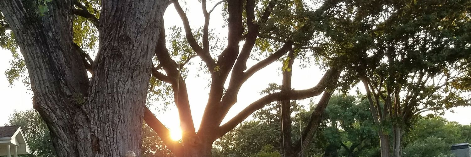 DanielJSchwarz's profile banner image