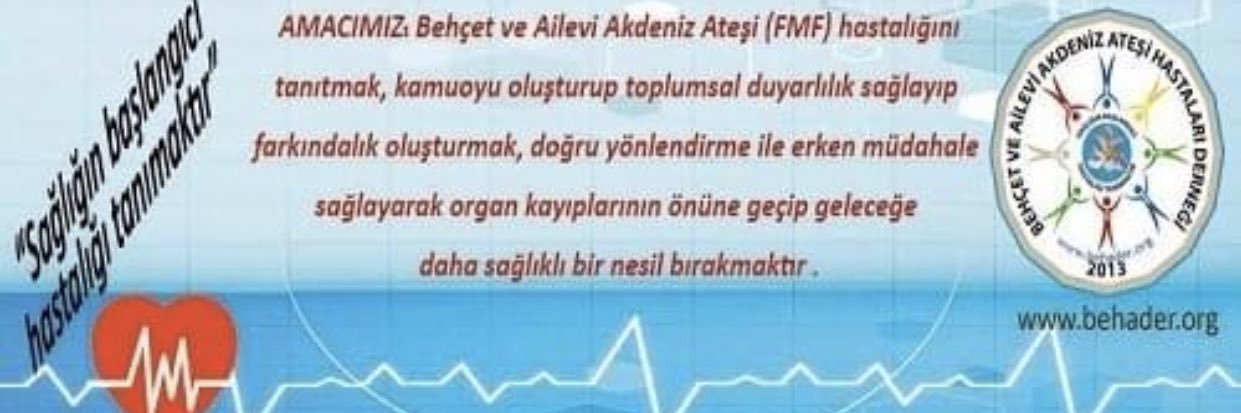 Havva Özserçe banner