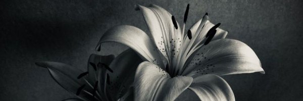 estersirvent Profile Banner