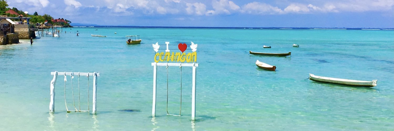 Lithium Lover banner