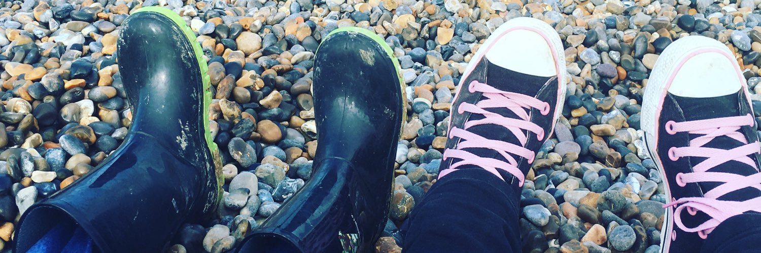 Stephani Davis 🌈 banner