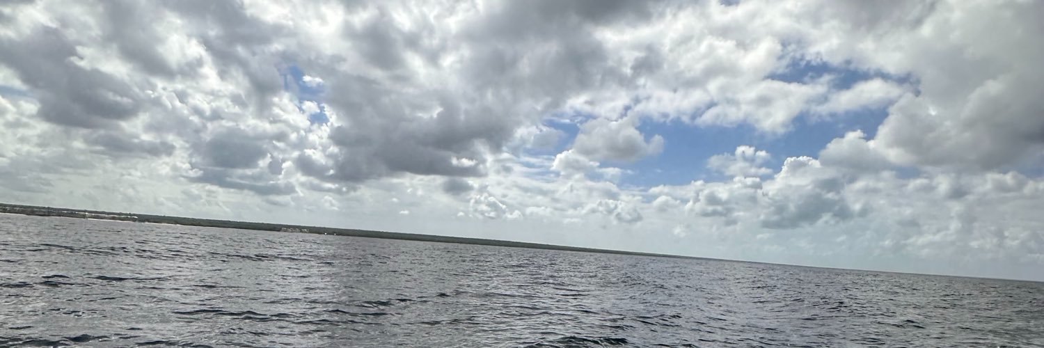 GuillermoGViva's profile banner image