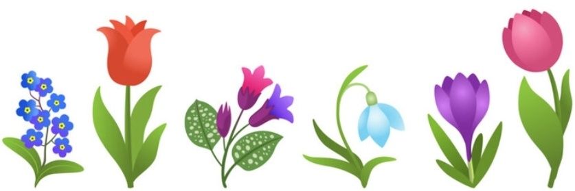 zeldapeax's profile banner image