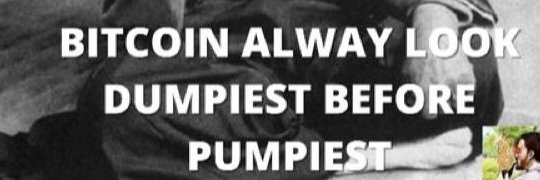 Sharp Moon Cheese 🌕🧀⭕ banner