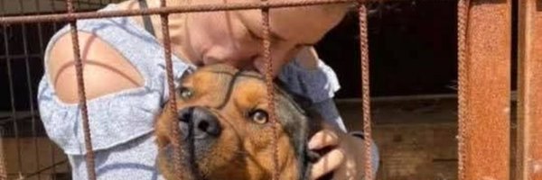 dawnbaxter8 Profile Banner