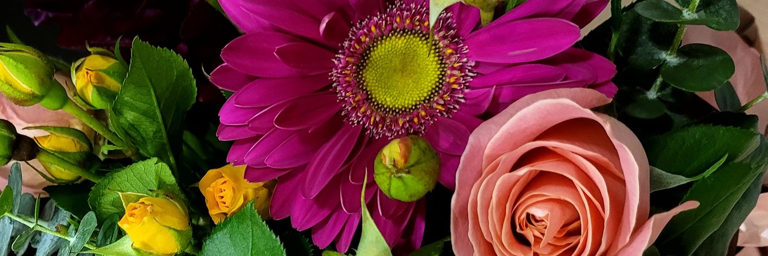 LoreStern's profile banner image