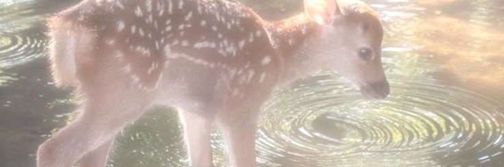 Bia🍓 banner
