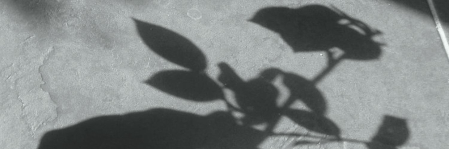 Shadowluvr banner