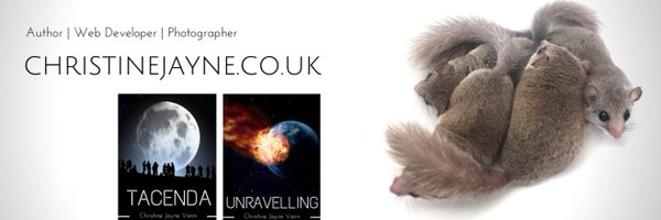 critteryuk Profile Banner