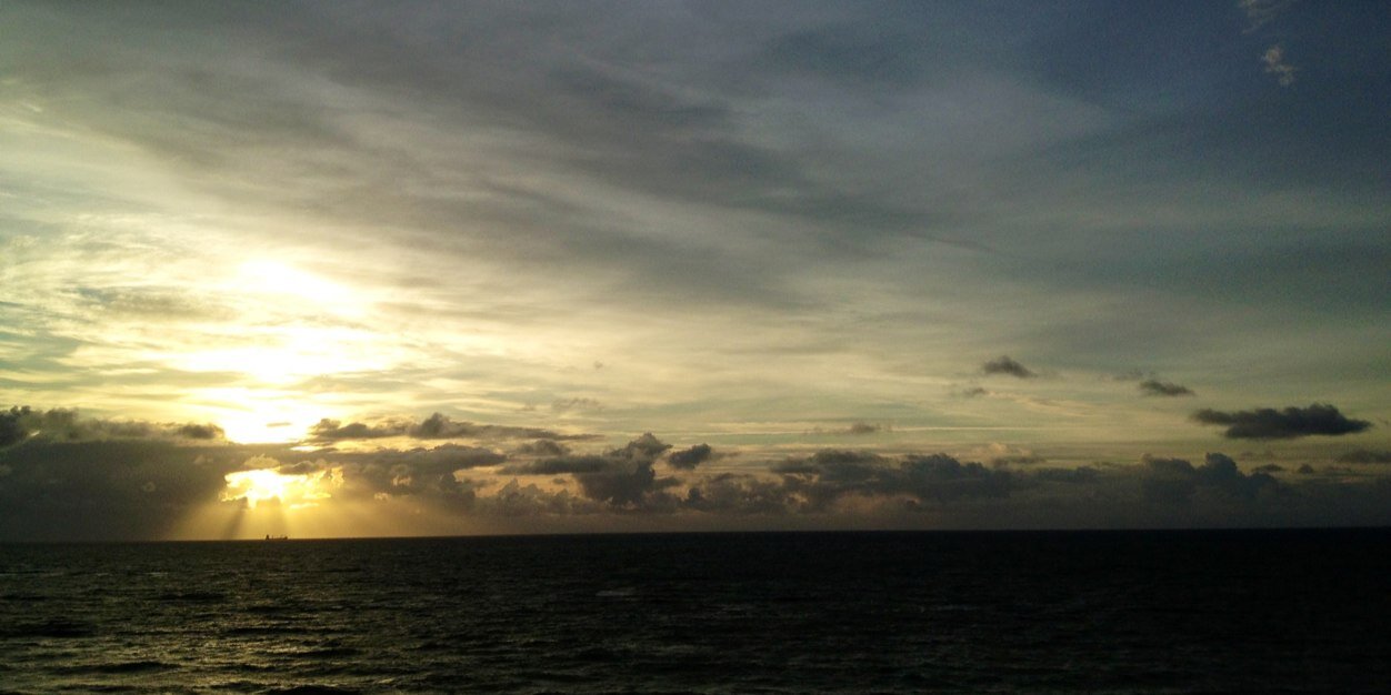 one_bananas's profile banner image
