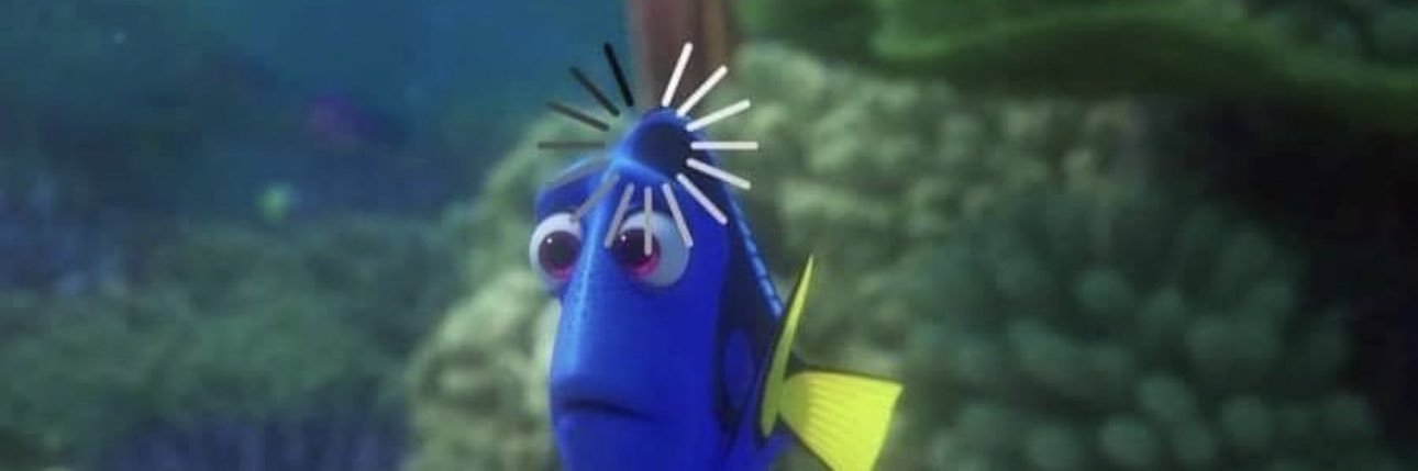 Cowboy Fuinha banner