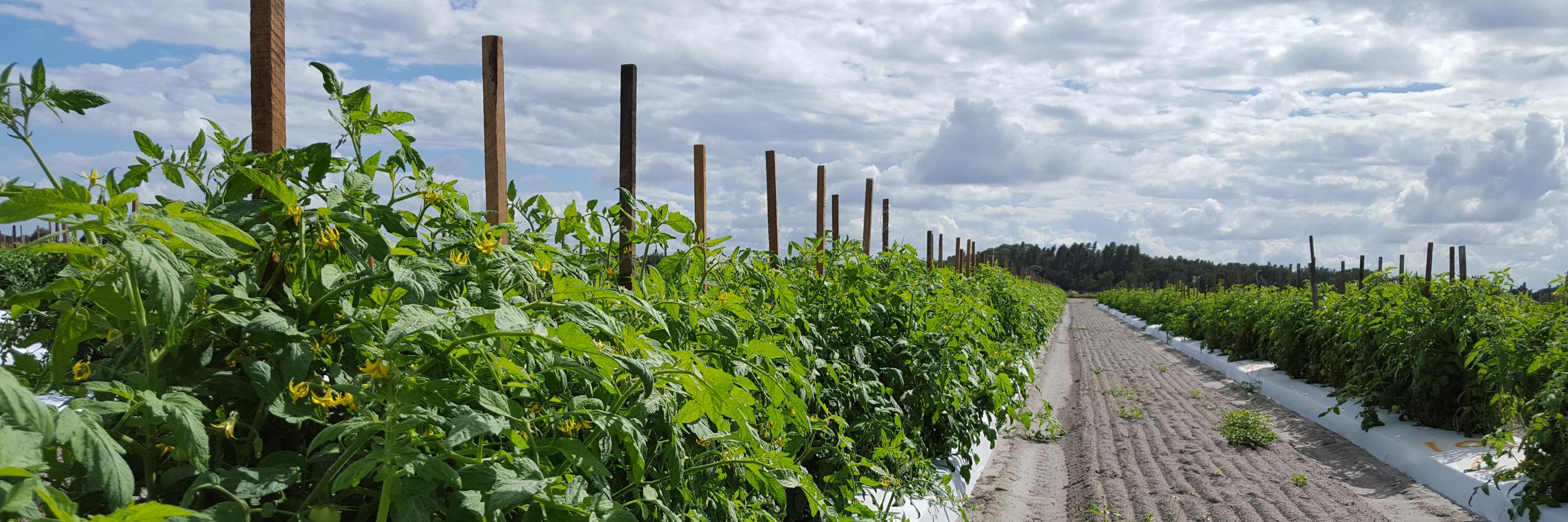 Southeast AgNet banner